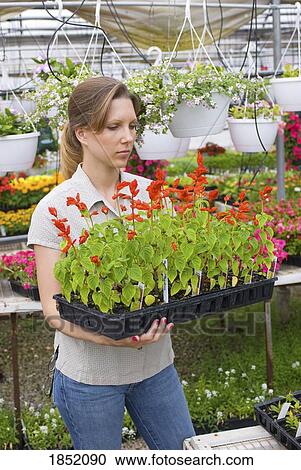 Stock Image - Woman with flowers . Fotosearch