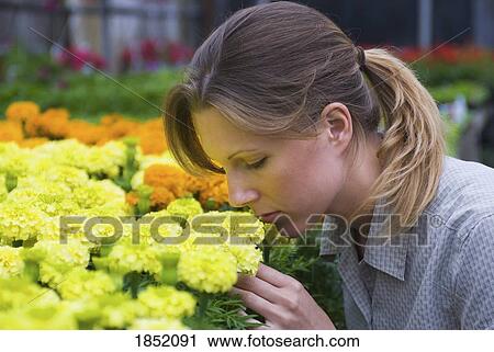 Woman with flowers View Large Photo Image Stock Image - Woman with flowers . Fotosearch