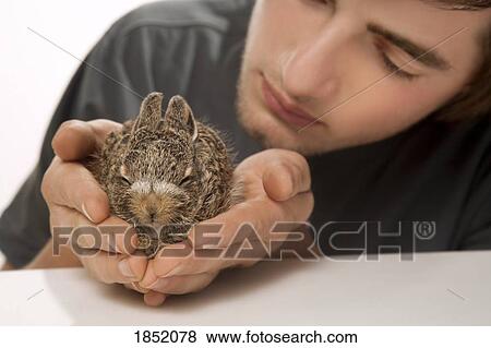 Young man holding a baby rabbit View Large Photo Image Stock Photo - Young man holding a baby rabbit. Fotosearch