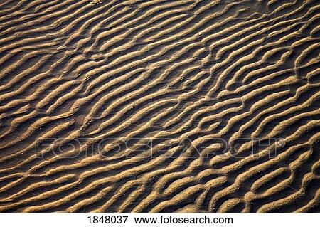Stock Photo - Zanzibar, Tanzania; Sand Patterns. Fotosearch