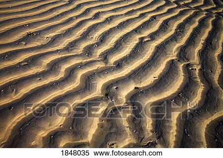 Zanzibar, Tanzania; Sand patterns View Large Photo Image Stock Photography - Zanzibar, Tanzania; Sand patterns. Fotosearch