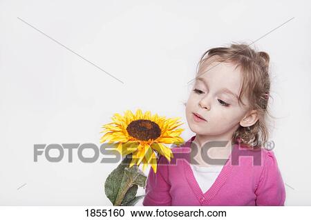 Child with sunflower View Large Photo Image Stock Image - Child with sunflower. Fotosearch