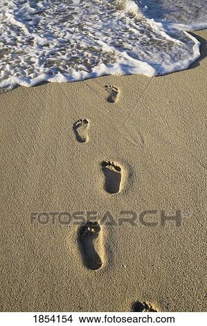 Picture - Footprints in the sand. Fotosearch
