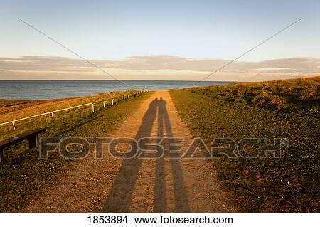 Picture - Long shadows on the road, South Shields, Tyne and Wear, England. Fotosearch