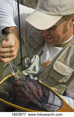 Man removing fly fishing hook from trout; Nordegg, Alberta, Canada View Large Photo Image Stock Photo - Man removing fly fishing hook from trout; Nordegg, Alberta, Canada. Fotosearch
