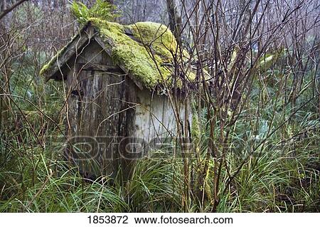 Stock Image - Outhouse; Tofino, British Columbia, Canada. Fotosearch