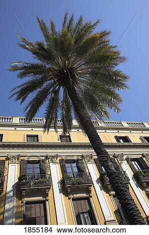 Picture - Placa Reial, Barcelona, Catalonia, Spain. Fotosearch
