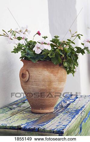 Stock Photo - Plant pot. Fotosearch