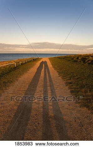 Stock Image - Road by ocean with long shadows; South Shields, Tyne and Wear, England. Fotosearch