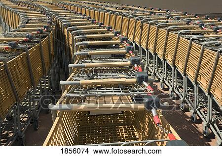 Picture - Rows of shopping carts. Fotosearch
