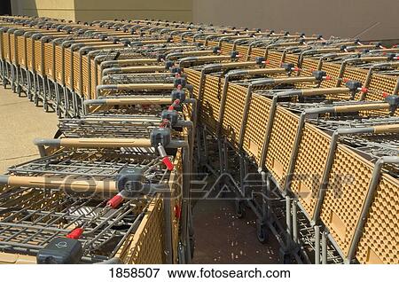 Rows of shopping carts View Large Photo Image Stock Photo - Rows of shopping carts. Fotosearch