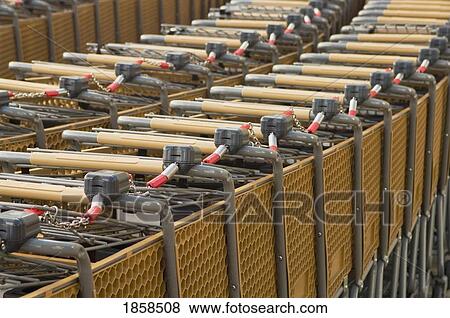 Rows of shopping carts View Large Photo Image Stock Photo - Rows of shopping carts. Fotosearch