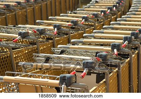 Rows of shopping carts View Large Photo Image Stock Photo - Rows of shopping carts. Fotosearch