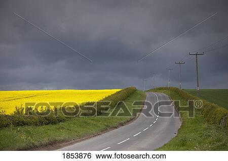 Rural road; North Yorkshire, England View Large Photo Image Stock Photograph - Rural road; North Yorkshire, England. Fotosearch