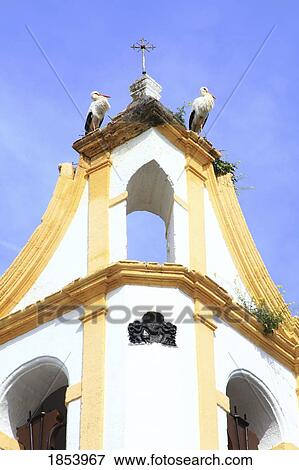 Storks on the church tower, Chiclana de la Frontera, Andalucia, Spain View Large Photo Image Stock Photo - Storks on the church tower, Chiclana de la Frontera, Andalucia, Spain. Fotosearch