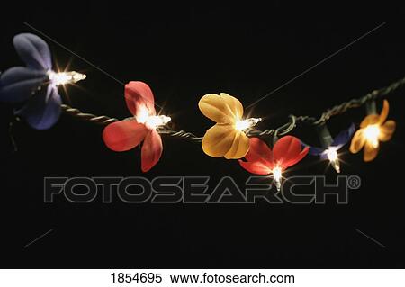 Stock Photography - String of flower lights. Fotosearch