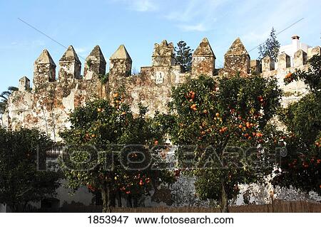 The old Town-Wall; Medina-Sidonia, Andalucia, Spain View Large Photo Image Stock Photo - The old Town-Wall; Medina-Sidonia, Andalucia, Spain. Fotosearch