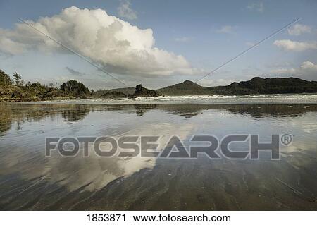 Tofino, Vancouver Island, British Columbia, Canada View Large Photo Image Stock Image - Tofino, Vancouver Island, British Columbia, Canada. Fotosearch
