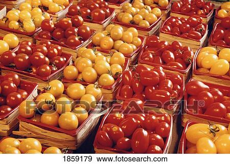 Tomatoes at a market View Large Photo Image Stock Photo - Tomatoes at a market. Fotosearch