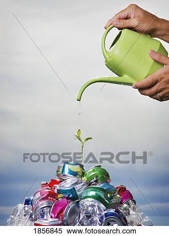 Stock Photography - Watering little sprout. Fotosearch