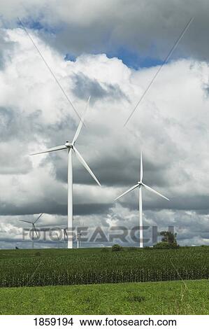 Picture - Wind energy; Saybrook, Illinois, USA. Fotosearch