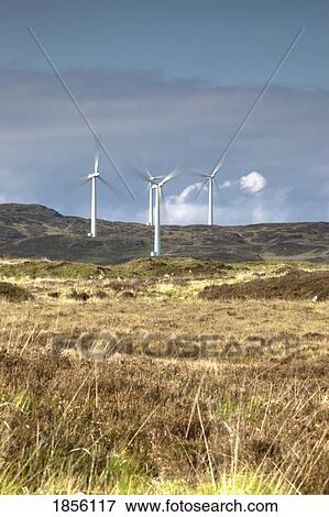 Wind farm, Dumfries and Galloway, Scotland View Large Photo Image Stock Photo - Wind farm, Dumfries and Galloway, Scotland. Fotosearch