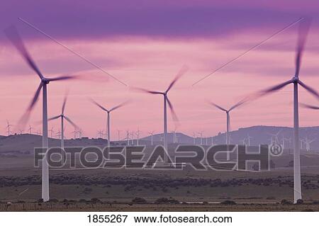 Stock Photo - Wind farm, Facinas, Cadiz Province, Spain. Fotosearch