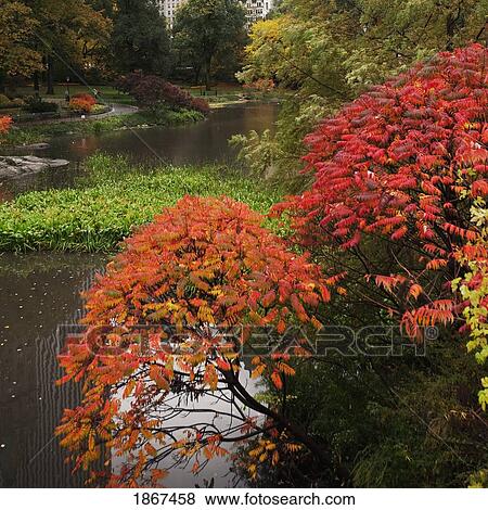 Autumn in Central Park, New York City, New York, United States of America View Large Photo Image Stock Photo - Autumn in Central Park, New York City, New York, United States of America. Fotosearch