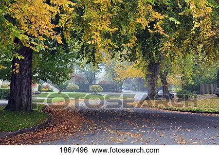 Stock Photograph - Autumn road. Fotosearch