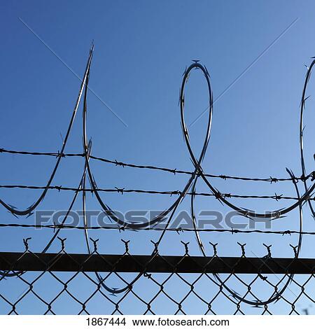 Picture - Barbed wire fence. Fotosearch