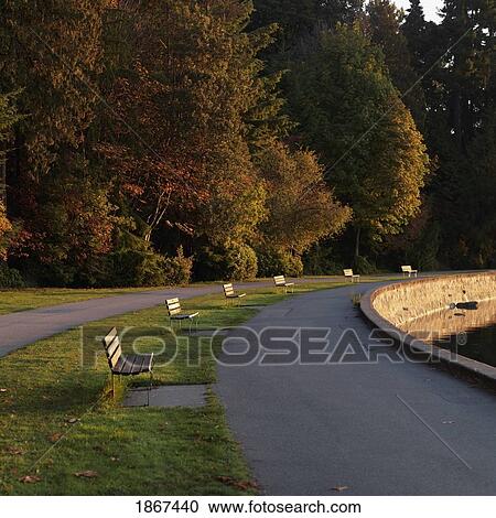 Stock Image - Benches along seawall in Stanley Park, Vancouver, British Columbia, Canada. Fotosearch