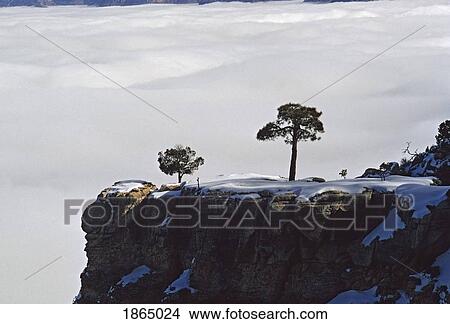 Picture - Grand Canyon, Arizona, USA. Fotosearch
