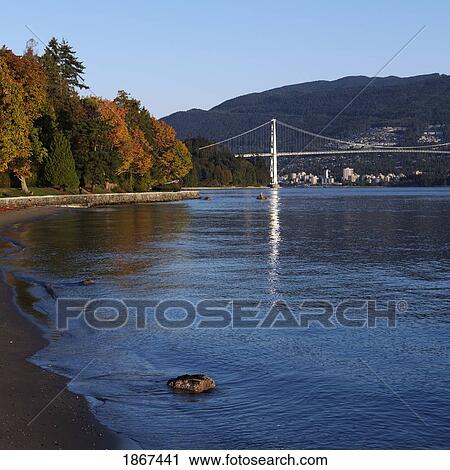 Stock Image - Lions Gate Bridge seen from seawall in Stanley Park, Vancouver, British Columbia, Canada. Fotosearch