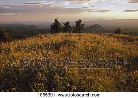 Stock Image - Mountain meadow at sunset. Fotosearch