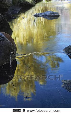 Reflection of autumn cottonwoods in the Jemez River, Wall of San Diego Canyon, San Diego, USA View Large Photo Image Stock Photo - Reflection of autumn cottonwoods in the Jemez River, Wall of San Diego Canyon, San Diego, USA. Fotosearch