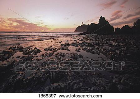 Stock Photo - Rocky shore at sunset, Ruby Beach, Olympic National Park, Washington, USA. Fotosearch
