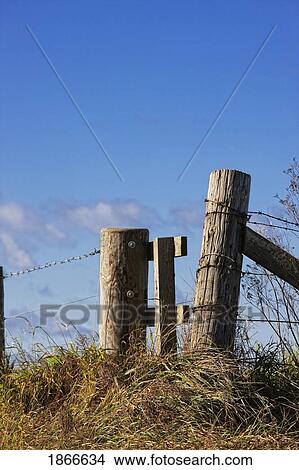Rustic barbed wire fence View Large Photo Image Picture - Rustic barbed wire fence. Fotosearch