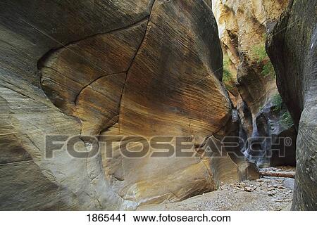 Stock Image - Sandstone formation in narrow canyon, Orderville Canyon, Zion National Park, Utah, USA. Fotosearch