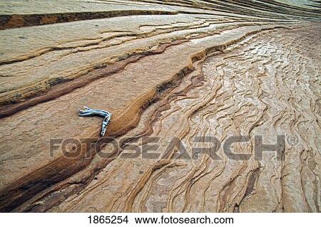 Picture - Sandstone striations, Zion National Park, Utah, USA. Fotosearch