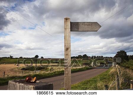 Stock Photography - Sign post, Northumberland, England. Fotosearch