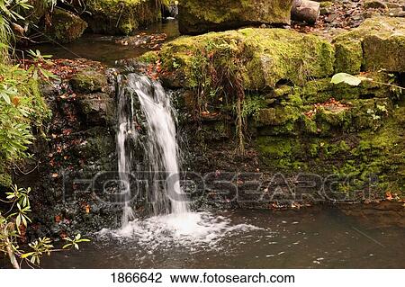 Small waterfall, Northumberland, England View Large Photo Image Stock Image - Small waterfall, Northumberland, England. Fotosearch