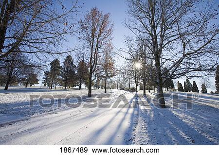 Snow covered road, Oregon, USA View Large Photo Image Stock Photo - Snow covered road, Oregon, USA. Fotosearch