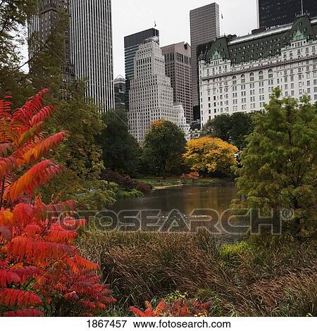View of the buildings on Fifth Avenue from Central Park, New York, United States of America View Large Photo Image Stock Photo - View of the buildings on Fifth Avenue from Central Park, New York, United States of America. Fotosearch