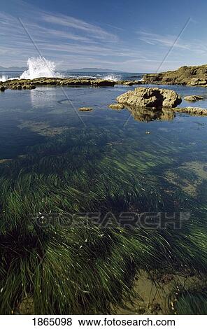 Wave splashing on rocks View Large Photo Image Stock Photo - Wave splashing on rocks. Fotosearch