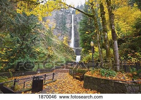 a path and waterfall in a park in autumn View Large Photo Image Stock Photograph - a path and waterfall in a park in autumn. Fotosearch