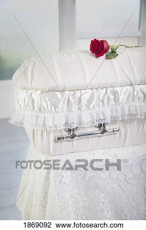 a rose placed on an infant's coffin View Large Photo Image Stock Image - a rose placed on an infant's coffin. Fotosearch