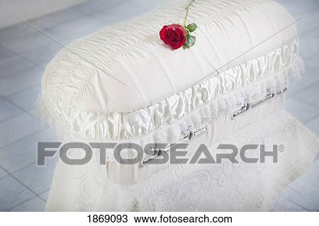 Stock Image - a rose placed on an infant's coffin. Fotosearch