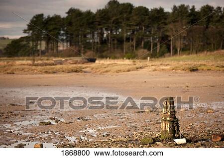alnmouth, northumberland, england; shore of a beach View Large Photo Image Stock Image - alnmouth, northumberland, england; shore of a beach. Fotosearch
