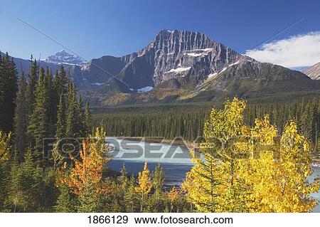 Stock Photo - Athabasca River in autumn, Jasper National Park, Alberta, Canada. Fotosearch