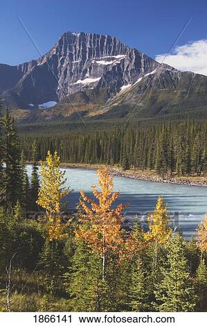 Autumn by Athabasca River, Jasper National Park, Alberta, Canada View Large Photo Image Stock Image - Autumn by Athabasca River, Jasper National Park, Alberta, Canada. Fotosearch